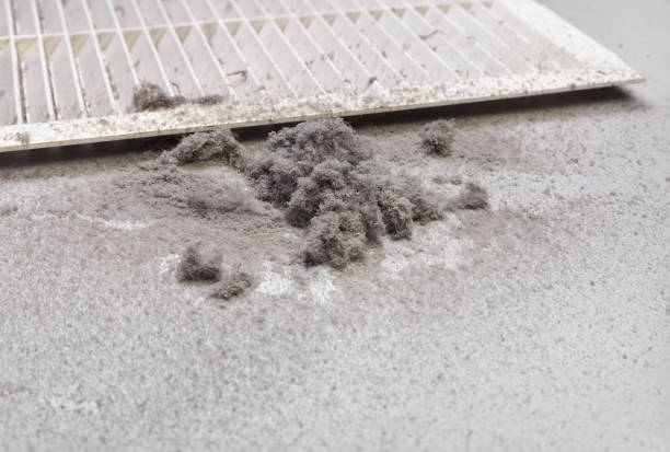 Best Residential Air Duct Cleaning  in Beale Af, CA