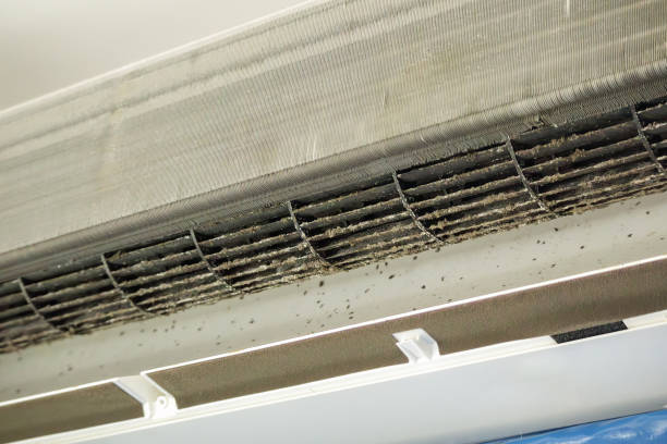 Best Professional Duct Cleaning Services  in Beale Af, CA